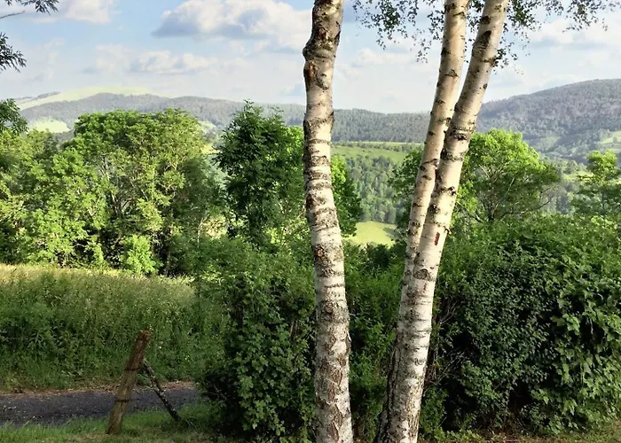 Holiday home Maison Confortable Avec Vue Sur La Montagne A Le Fau